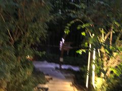 -春晖园度假酒店温泉