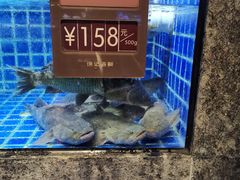 -徐记海鲜(梅溪新天地店)