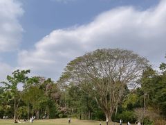 -中国科学院西双版纳热带植物园