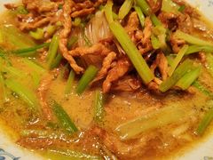肉丝带底-阿五黄河大鲤鱼(海尚店)