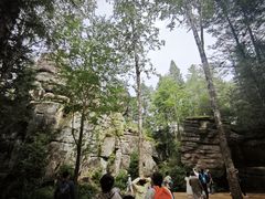 -汤旺河林海奇石景区