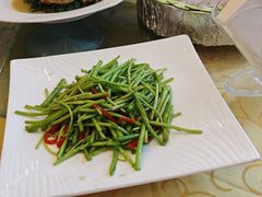 芦蒿-孔庆璞河豚馆(白玉兰酒店)