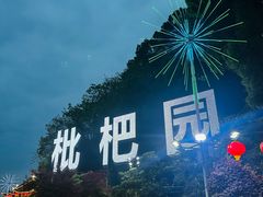 -枇杷园食为鲜火锅(南山店)