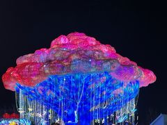 -淄博花灯齐彩城