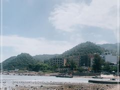 -杨梅坑