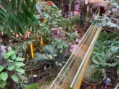 -正佳雨林生态植物园