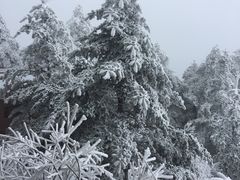 -峨嵋山金顶