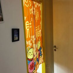 -净妍美肌专业净毛嫩肤连锁机构