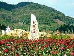 -亚龙湾国际玫瑰谷