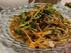 五彩拉皮-双井轩(双井店)