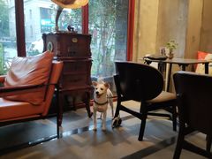 -25#COFFEE(古地石店)