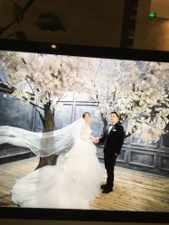 点击看大图 -太郎花子婚纱摄影艺术中心