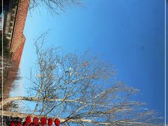 -南宫五洲植物乐园