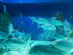 -成都浩海立方海洋公园