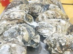 -蚝专家(北滘店)