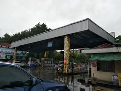 -上海龙吴水胜海发市场