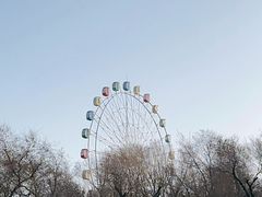 -红山公园