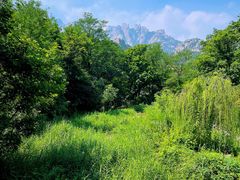 -崂山仰口游览区