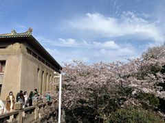 -武汉大学-樱园