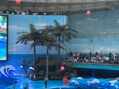 -海合安成都极地海洋公园