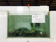 -海盗餐厅