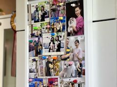 -青奢宠物·青奢猫舍