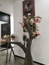 -盘子女人坊生日照·摄影馆(华强店)