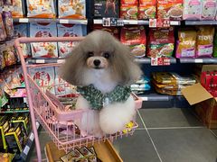 -萌兽医馆·眼科·异宠专科(三里屯店)