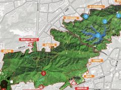 -板樟山森林公园