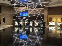 -南京禄口机场雅高铂尔曼大酒店