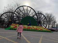 -呀路古热带植物园