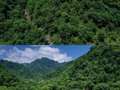 -秦岭风景区