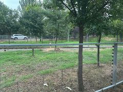 -秦皇岛野生动物园