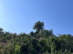 -香山公园