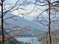 -大罗山风景区