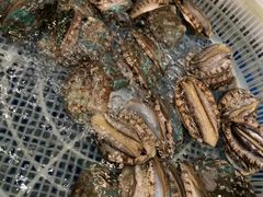 -江杨农产品批发市场