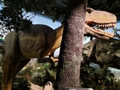 -浙江自然博物院(杭州馆)