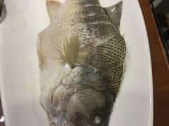 -七菜馆·东北菜·蒸饺(文体路店)