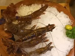 -二刀潮牛(重庆光环购物公园店)