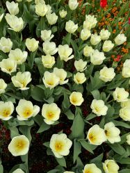 -派对猴生日派对策划(浦东店)