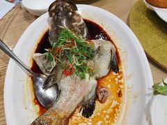 清蒸石斑鱼-有心德(隆生店)