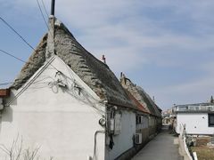 -烟墩角天鹅湖