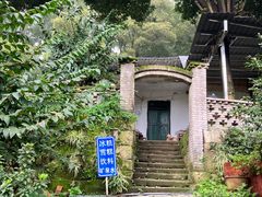 -南山植物园