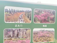 -秀丽东方