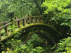 -神农架香溪源景区