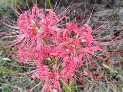 -南京金牛湖风景区