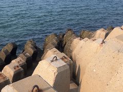 -黄海明珠