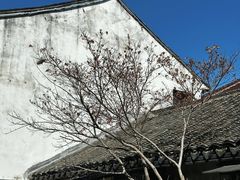 -浏河古镇