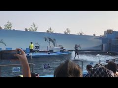 -秦皇岛乐岛海洋王国