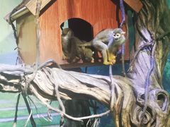 -华夏文旅海洋公园